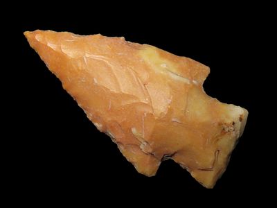 Stone Square Stem - 2 ½” L x 1 ¼” W, Pike County. Illinois