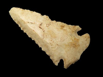 Gibson - 2 ¾” L x 1 ½” W, Pike County. Illinois