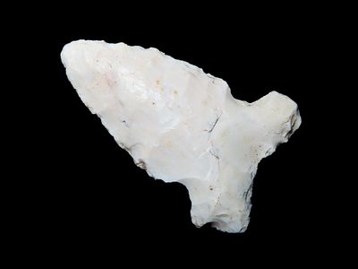 Graham Cave - 1 ¾” L x 1 ¼” W, Pike County. Illinois