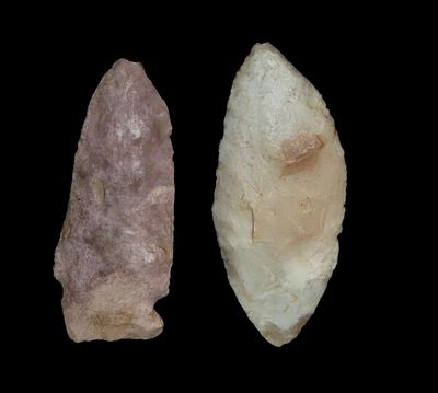 Lot of Nodena Blade and Rice Shallow Notch Pts., found by Adam Sisler & Family in Keokuk Co., Iowa