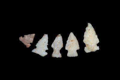 Group of 5 Quality Bird Pts., found by Adam Sisler & Family in Keokuk Co., Iowa