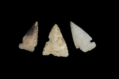 Lot of 3 Bird Pts., found by Adam Sisler & Family in Keokuk Co., Iowa