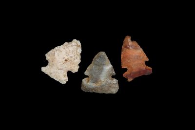 3 Colorful, well made Bird Pts., found by Adam Sisler & Family in Keokuk Co., Iowa