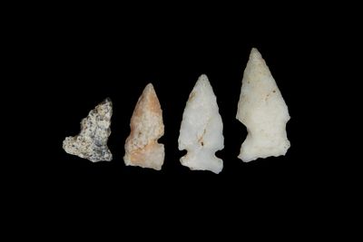 Lot of 4 Bird Pts., found by Adam Sisler & Family in Keokuk Co., Iowa