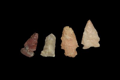 Lot of 4 Bird Pts., found by Adam Sisler & Family in Keokuk Co., Iowa