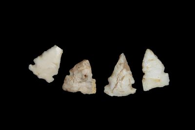 Lot of 4 Bird Pts., found by Adam Sisler & Family in Keokuk Co., Iowa