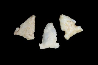 Lot of 3 Bird Pts., found by Adam Sisler & Family in Keokuk Co., Iowa