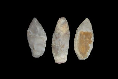 Lot of 3 Lanceolate Pts., found by Adam Sisler & Family in Keokuk Co., Iowa