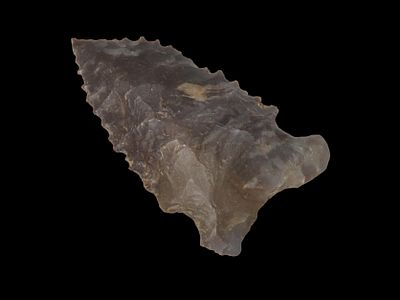 2" Greenbriar Dalton, Heavy Serrations, Montgomery Co Tenn EX Jim Lee Collection, Reviewed and 