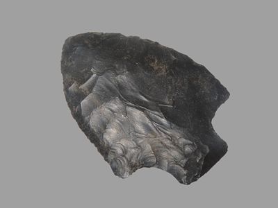 2 5/8" Well Flaked Elora, AL, EX Bill Pettit Collection, Reviewed and Approved Authentic by 