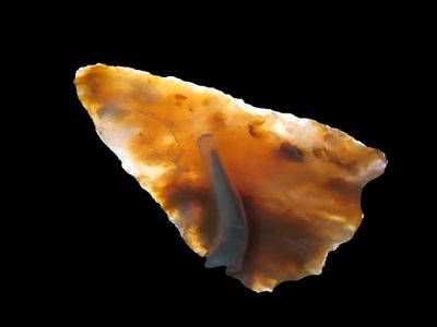 2 5/8" Gem Agate Blade, Oregon, EX Jim Lee Collection, Reviewed and Approved Authentic by Jerry 