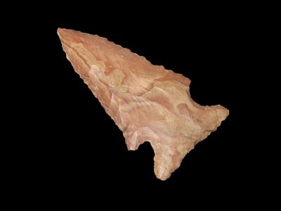 2 1/2" Buffalo River Pine Tree, EX Bill Pettit Collection, Reviewed and Approved Authentic by 