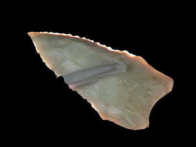 2" Paleo, Dalton, Steep Bevels, Semi-Translucent Material, Serrated, Arkansas, EX Jim Lee 