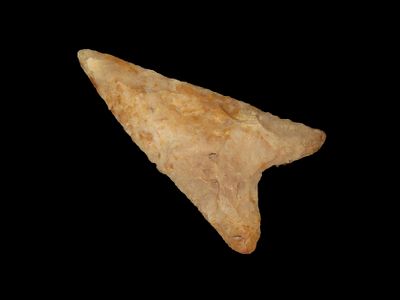 2 1/2" Mule Ear, Oregon, EX Len Weidner, EX Jim Lee Collection, Reviewed and Approved Authentic 