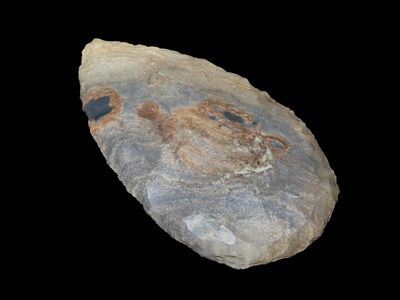 3 7/8" Cobbs Blade, Wild Material, Found by Bill Shanks, Tulsa Co., Oklahoma, Reviewed and 