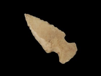 1 7/16" Unifaced Birdpoint