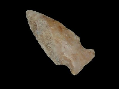 2 5/8" Woodland Point