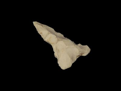 1 3/8" Woodland Point