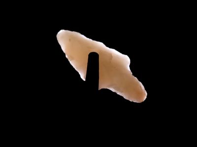 1 1/2" Translucent Adena