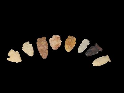 Grouping of 8 Arrowheads Found by Geoff Sandt in St. Louis Co. Missouri, Known as the 