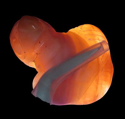 1 1/16" x 1 5/16" Pre-Columbian Carnelian Agate Parrot Effigy Pendant, Motley COA, found in 