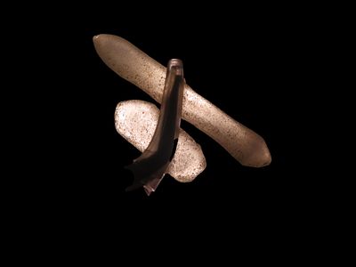 Set of 2 Quartz Ear/Nose/Labret Decorations, 1 7/8" & 7/8", found in Africa