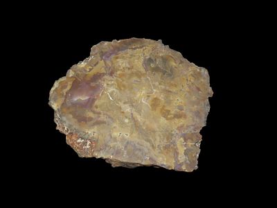 5 1/2" x 4 3/4" x 1/4" Fossil Dinosaur Dung, Coprolite, Slabbed and Polished, from Morrison 