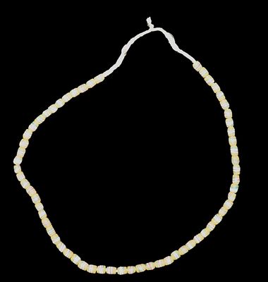 Amazing Group Of Alaska Mammoth Fossilized Tusk Polished