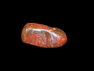 2 1/8" x 1 1/4" Fossil Amber Found In Europe Private Coll Penn