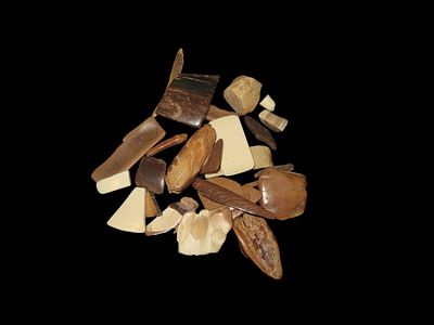 Amazing Collection of Fossil Mammoth/Mastodon Tusk from Alaska