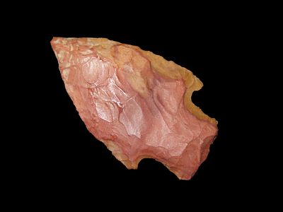 Steuben - 2" L x 1 1/4" W. Steuben - 2" L x 1 1/4" W