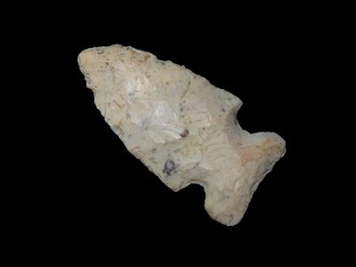 Birdpoint - 1 1/4" L x 3/4" W