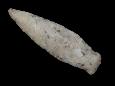 Sedalia - 3 1/4" L x 1" W