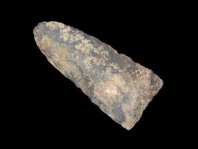 Carter - 3 1/4" L x 1 1/2" W