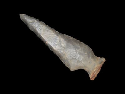 Pine Tree - 3 1/4" L x 1" W