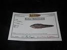 5 1/16" X 1 1/8" Four-Bevel Knife, Dacite, Jackson COA, Found in Harney Co ORImage - 7