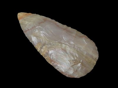 Incredible 5" Leaf Blade, Mason County Kentucky, ex Phil Cummins, Carter Cave, Great Color