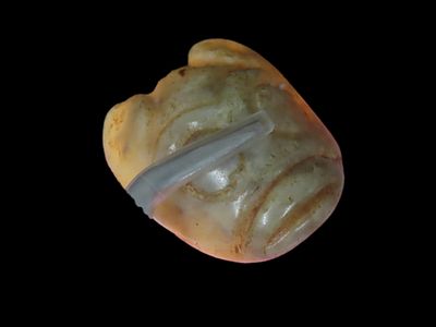 1 1/2" Mayan Jade Face Effigy Pendant, Motley COA, Mexico