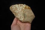 Nice Acheulean Early Man Blade / Paleolithic Hand Axe from France, 150,000-250,000 Years OldImage - 1