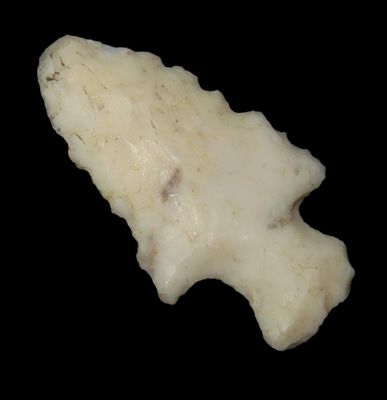 Nice Bird Point found in Missouri by Ron Knowles