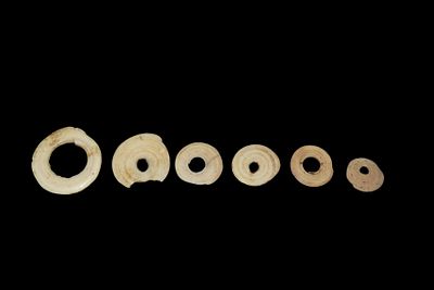 Set of 6 Yua Wenga / Conus Currency Shell Rings, From Papua New Guinea, 1700-1800's
