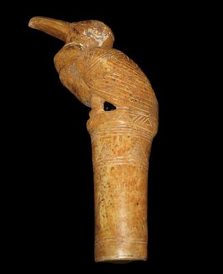 9 3/4" x 6" Andean Condor Bird Effigy Scepter/Finial, Motley COA, Made of Bone, light 