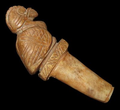 3 1/16" x 1 1/4" Parrot Bird Effigy Scepter/Finial, Motley COA, Made of Bone, found in South 