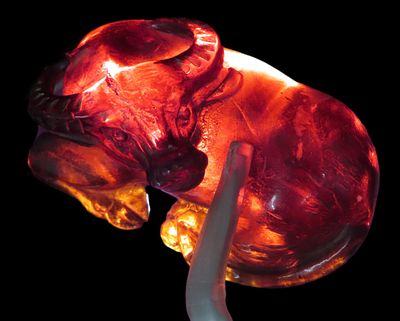 2" Antique Resin "Year of the Ox" Netsuke Pendant