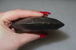 7 18" x 3 7/16" Pre-Columbian Colorful Hardstone Votive(Ceremonial)Hand Axe, Motley COA, from Image - 7