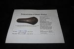 7 18" x 3 7/16" Pre-Columbian Colorful Hardstone Votive(Ceremonial)Hand Axe, Motley COA, from Image - 8