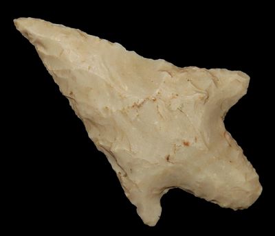 2 1/4" Newnan, Found Between 1968- 2023 By Jeff Thompson in Marion County Florida