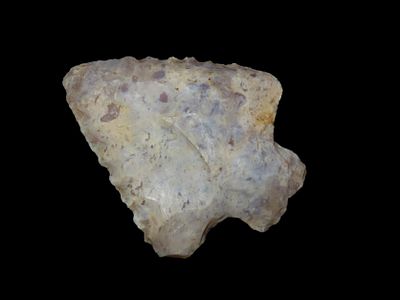 2" Abby Point, Found Between 1968- 2023 By Jeff Thompson in Marion County Florida