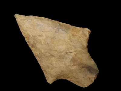 2 5/8" Thin High Grade Levy, Found By Jeff Thompson in Either Florida or Georgia