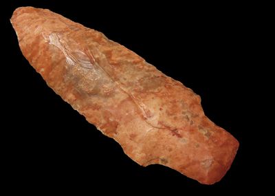 2 3/8" Little Bear Creek, Found By Jeff Thompson in Either Florida or Georgia